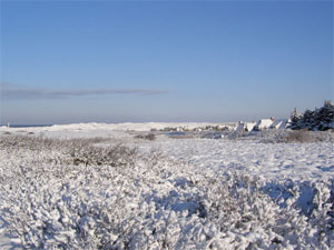 Winter auf Sylt am 07., 08. und 09. Januar 2010