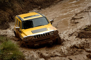 Hummer
