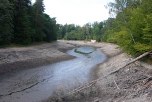 Neuer See abgefischt