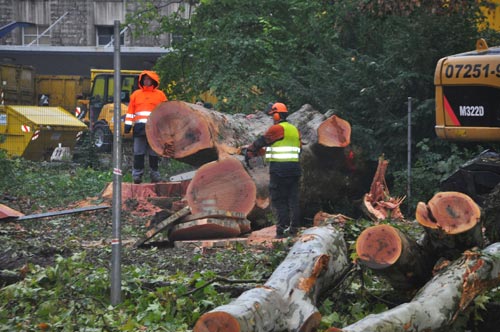 Mehrere Tausend S21-Gegner waren in der Nacht und am Morgen des 1. Oktober 2010 dabei: der erste Baum wurde gegen 01 Uhr gefällt und gegen 06 Uhr waren 25 Bäume entfernt.