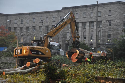 Mehrere Tausend S21-Gegner waren in der Nacht und am Morgen des 1. Oktober 2010 dabei: der erste Baum wurde gegen 01 Uhr gefällt und gegen 06 Uhr waren 25 Bäume entfernt.