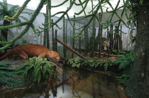 Saurierausstellung 2007 Naturkundemuseum