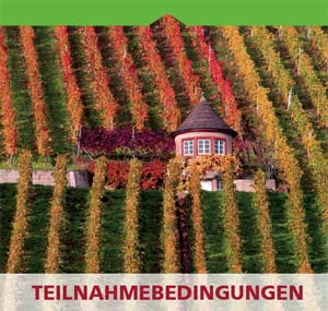 Fotowettbewerb 2008