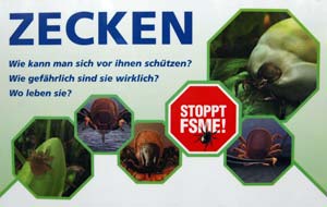 FSME Plakat