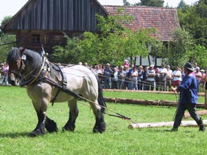Landesmuseen