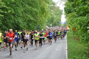 Solitudelauf in Gerlingen