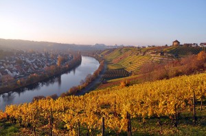 Herbst am Neckar in Stuttgart