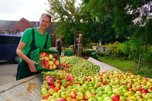 Zu Besuch in der Kyritzer Fruchtsäfte Mosterei: hier werden verschiedene Obstsorten verarbeitet zu Saft und Wein