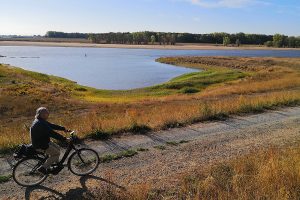 am Radfernweg Elberadweg