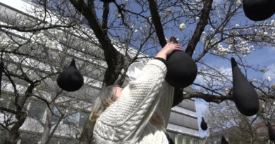 Mein Freund der weinende Baum: Kunstinstallation soll zum Nachdenken anregen