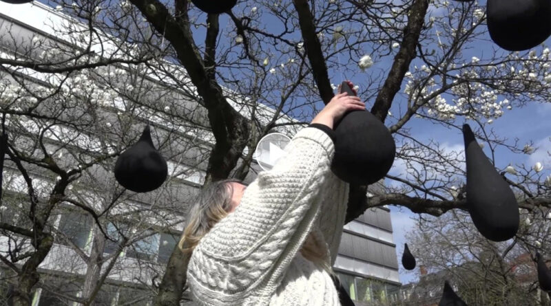 Mein Freund der weinende Baum: Kunstinstallation soll zum Nachdenken anregen