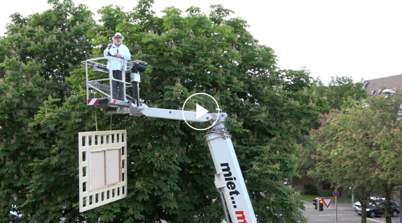 20-Meter-Gemälde: Kunstwerk vom internationalen Künstler Herdin Radtke zu Gast in Stuttgart