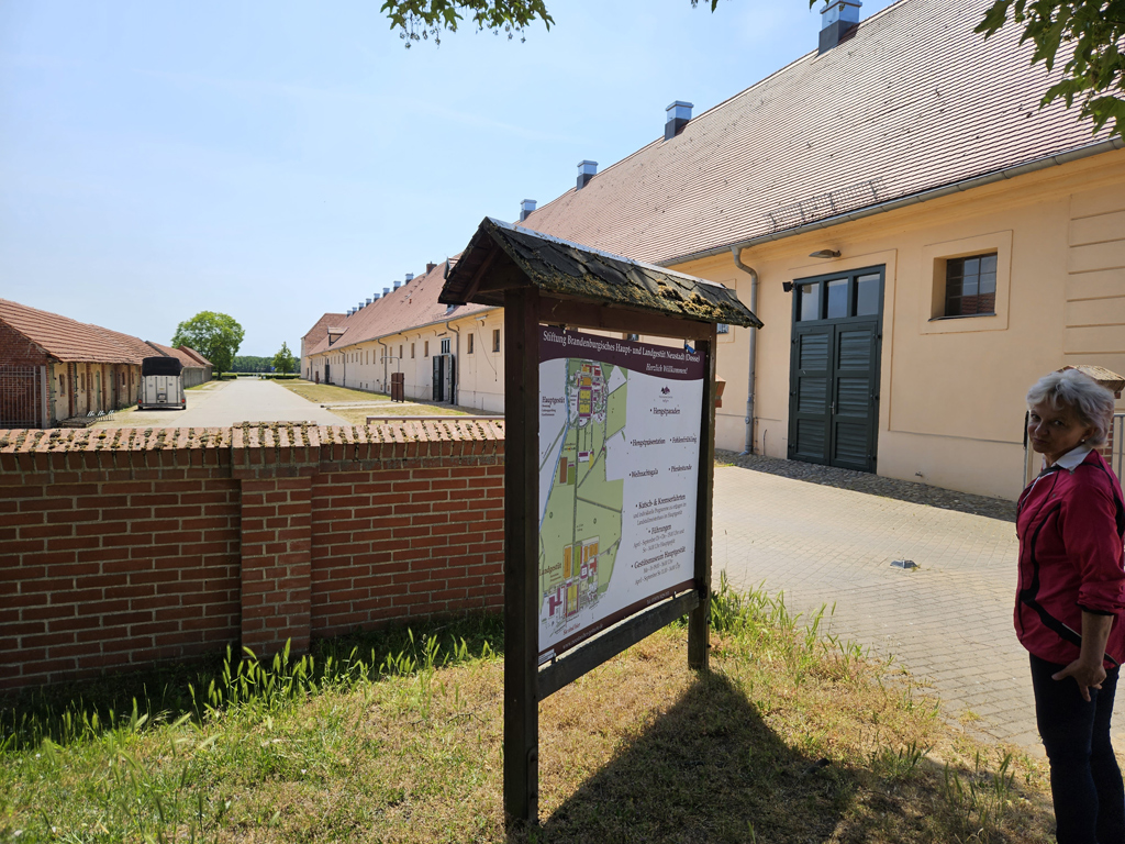 zu Besuch bei der Stiftung Brandenburgisches Haupt- und Landgestüt Neustadt (Dosse), Foto © Andreas Rosar, Fotoagentur Stuttgart