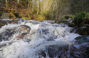 Zauberhaftes Wintererlebnis – Die Wasserfälle von Oppenau im Januar