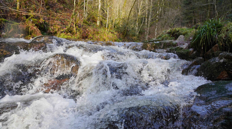Zauberhaftes Wintererlebnis – Die Wasserfälle von Oppenau im Januar
