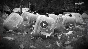 Schnitzen, Schaudern, Staunen – Kürbisschnitzen im Blühenden Barock Ludwigsburg, RTV/Rosar