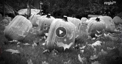 Schnitzen, Schaudern, Staunen – Kürbisschnitzen im Blühenden Barock Ludwigsburg, RTV/Rosar