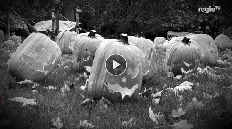 Schnitzen, Schaudern, Staunen – Kürbisschnitzen im Blühenden Barock Ludwigsburg, RTV/Rosar