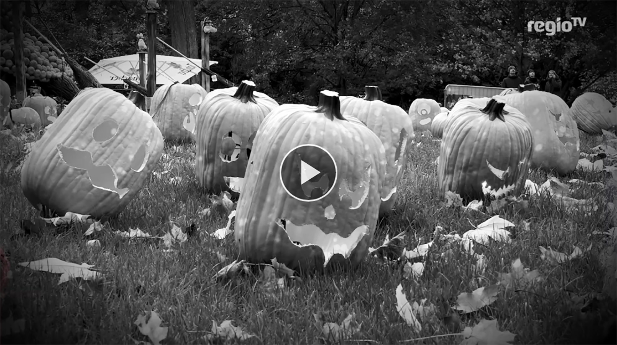 Schnitzen, Schaudern, Staunen – Kürbisschnitzen im Blühenden Barock Ludwigsburg, RTV/Rosar